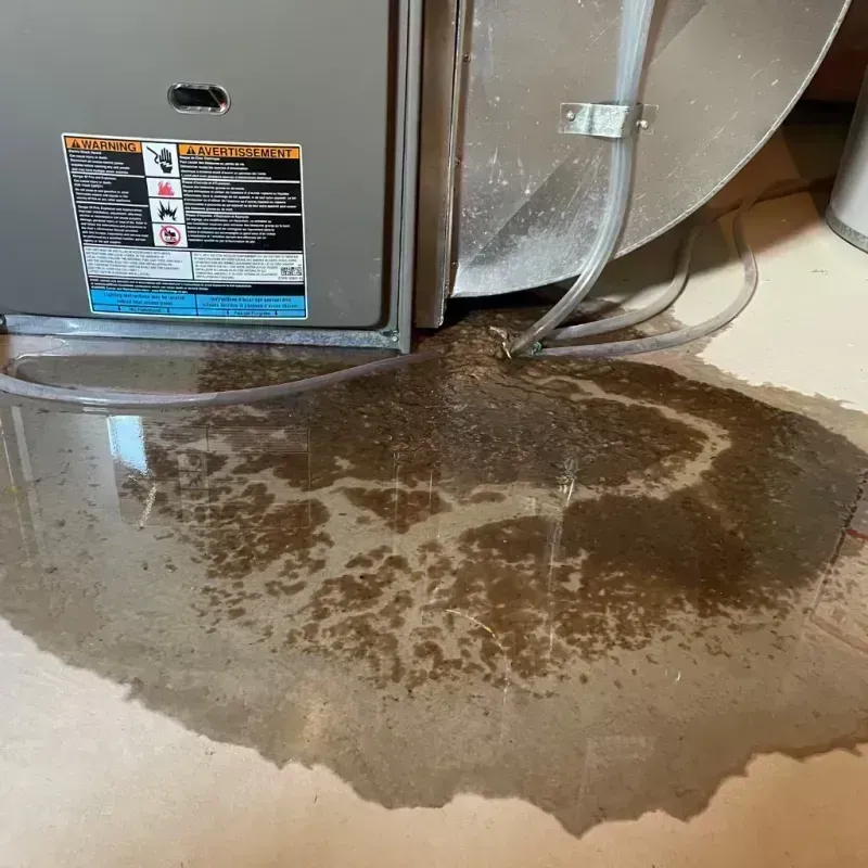 Appliance Leak Cleanup in Strafford, MO